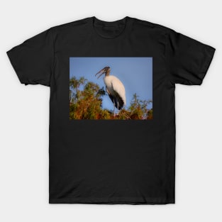 Speaking Stork T-Shirt